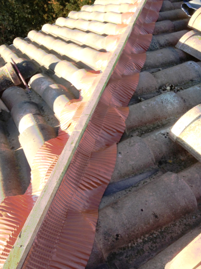 ChrisO_RemplacementClosoirs5