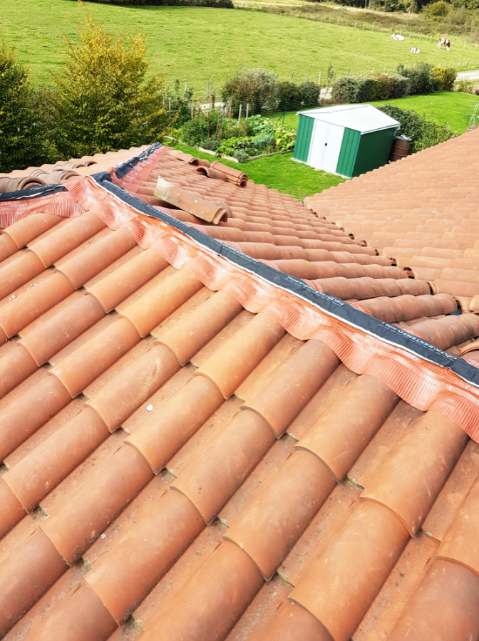 ChrisO_RemplacementClosoirs8